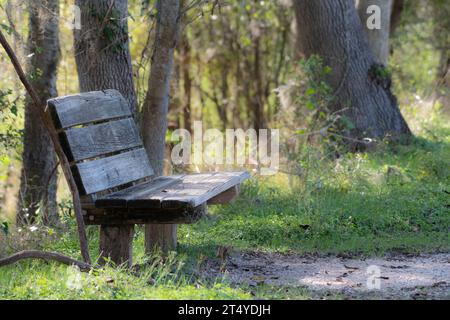 An old wooden park bench along a foot path that invites the hiker to sit and rest in the early morning sunlight. Stock Photo