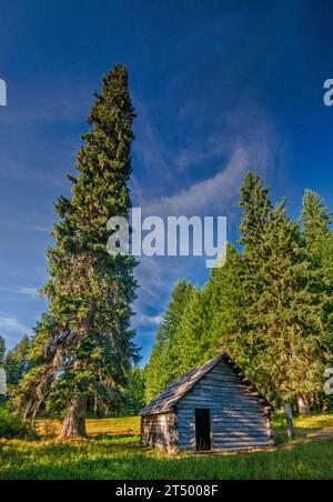 Landis Cabin replica, Box Canyon, Willamette National Forest, Cascade Range, Oregon, USA Stock Photo