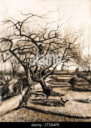 Vincent van Gogh, The Parsonage Garden at Nuenen in Winter, landscape drawing in pen and ink with gouache, 1884 Stock Photo