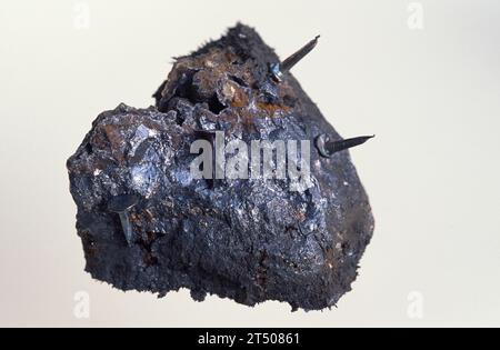 Magnetite is an iron oxide mineral with magnetic properties. Sample attracting nails. Stock Photo