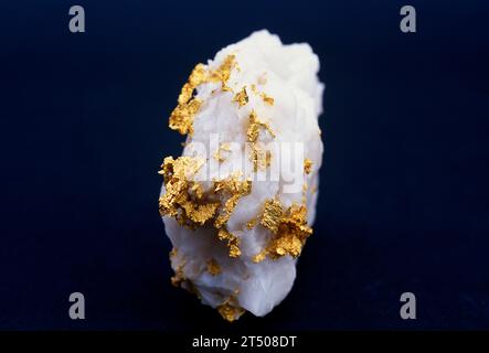 Gold is a mineral from native elements group. Sample on a quartz matrix. Stock Photo