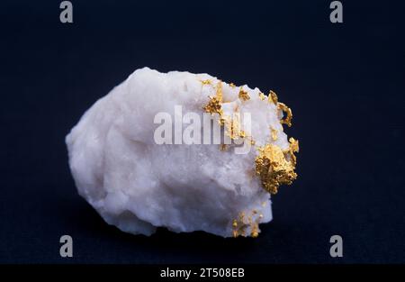 Gold is a mineral from native elements group. Sample on a quartz matrix. Stock Photo