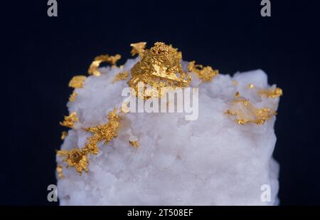 Gold is a mineral from native elements group. Sample on a quartz matrix. Stock Photo