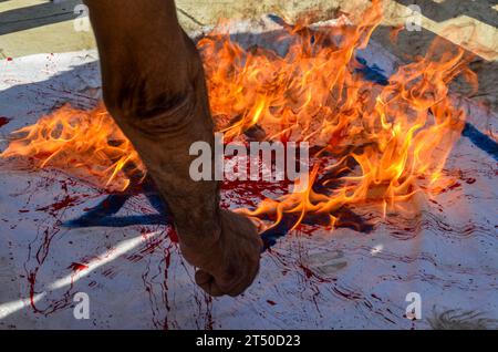 November 2, 2023: Tunis, Tunisia. 02 November 2023. Protesters burn a red-stained Israeli flag during a demonstration in Tunis in support of Palestinians and against the Israeli military offensive in Gaza. The demonstration takes place amid an extraordinary session of the Tunisian parliament discussing a draft law criminalising the normalisation of relations with Israel. If approved, the draft law would criminalise economic, cultural, and military ties with Israel (Credit Image: © Hasan Mrad/IMAGESLIVE via ZUMA Press Wire) EDITORIAL USAGE ONLY! Not for Commercial USAGE! Stock Photo