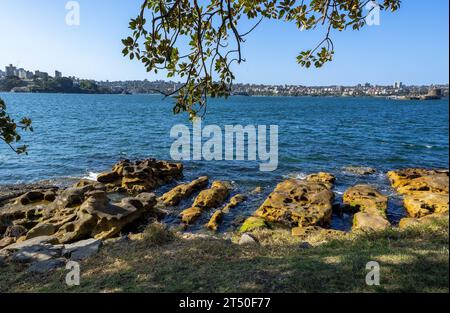 Royal Botanic Gardens views of the City of Sydney, NSW, Australia Stock Photo