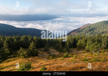 Autumn near Strymba mountain in Carpathian mountains, Ukraine Stock Photo