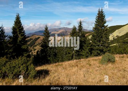 Autumn near Strymba mountain in Carpathian mountains, Ukraine Stock Photo