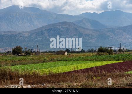 Lasithi Plateau, Crete, Greece. 30.09.2023.  Windmills, distant mountains and salad style crops growing on the Lasithi Plateau in eastern Crete, Greec Stock Photo