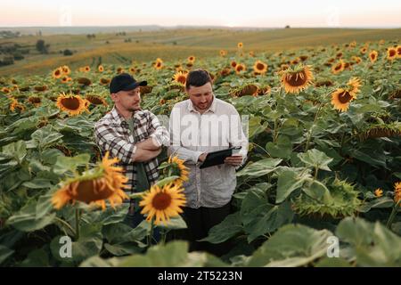 Smart farming. Two farmers using digital tablet for examine and check sunflowers in field. Agronomist team, analyse results of quality organic harvest Stock Photo