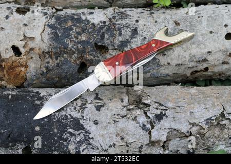 Close up photo of small folding knife on fallen tree in forest Stock Photo