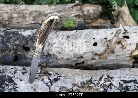 Close up photo of small folding knife on a fallen tree in the woods Stock Photo