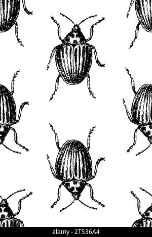 Bug. Vector hand drawn sketch illustration. Sloppy doodle grunge style. Seamless pattern Stock Vector