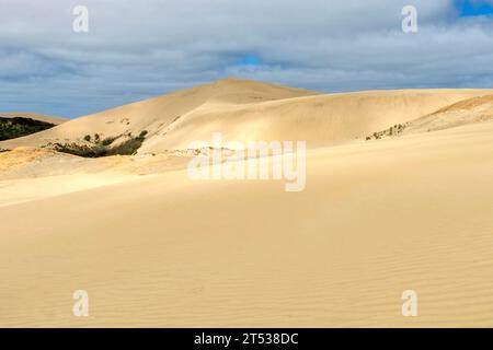 Cape Reinga Iconic Te Paki Giant Sand Dunes: A Natural Wonder and Tourist Attraction Amid Remote, Dramatic Coastal Scenery in Northland, New Zealand Stock Photo