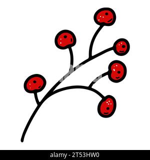 Doodle berry twig. Hand-drawn cute Rowan plant isolated on white background. Red fruit Herb. Vector floral illustration for interior, gardening, holid Stock Vector