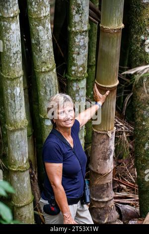 Female tourist facing to camera and leaning on bamboo trunk, Itatiaia, Rio de Janeiro, Brazil Stock Photo