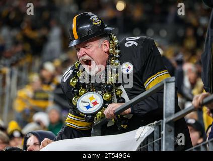 Hookstown, Pennsylvania, USA. 1st Nov, 2023. A Pittsburgh Steelers fan fired up during the NFL football game between the Pittsburgh Steelers and the Tennessee Titans at Acrisure Stadium in Pittsburgh, Pennsylvania. (Credit Image: © Brent Gudenschwager/ZUMA Press Wire) EDITORIAL USAGE ONLY! Not for Commercial USAGE! Stock Photo
