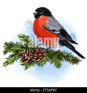 bird bullfinch on a branch, art illustration painted with watercolors isolated on white background, symbol of Christmas and new year, greeting card. Stock Photo