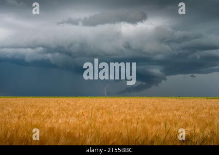 Thunderstorm forming over the Perche at the end of the afternoon with some lightning and arcus ahead. France Stock Photo