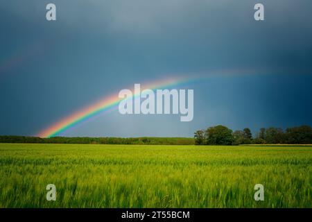 A rainbow and a field of wheat. A thunderstorm clears over Paris with a magnificent rainbow in the background. Bouglainval, Eure et Loir, France Stock Photo