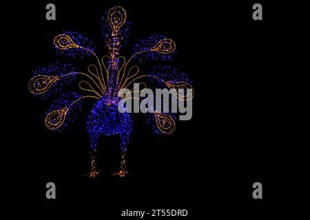 Illuminated neon peacock shaped LED lamp on black background Walbrzych  Glowing colorful peacock shaped LED neon garden lighting Stock Photo