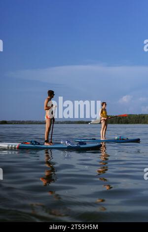 Friends having fun on forest lake, riding SUP boards. paddleboarding. Stock Photo