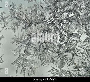 Ice crystals forming on glass in winter Stock Photo