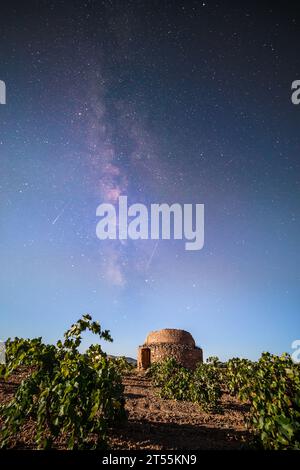 vineyards under the milky way in La Solana Stock Photo