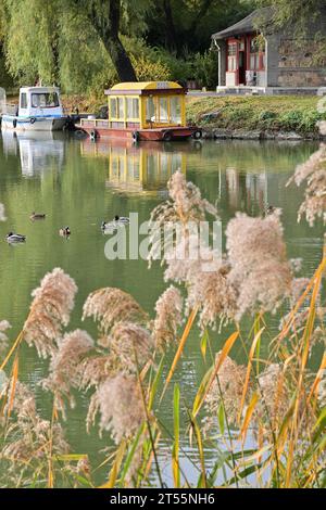 Beijing, China. 3rd Nov, 2023. This photo taken on Nov. 3, 2023 shows a view by the reeds at the Summer Palace in Beijing, capital of China. Credit: Yin Dongxun/Xinhua/Alamy Live News Stock Photo