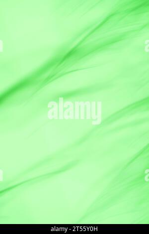 Green bokeh out of focus background. Green olive blur abstract background. Stock Photo