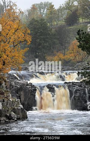 Low Force and the River Tees on a Foggy Autumn Day, Bowlees, Teesdale, County Durham, UK Stock Photo