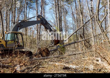 Using backhoe excavator worker uproots trees from forest, preparing ground to be built on Stock Photo