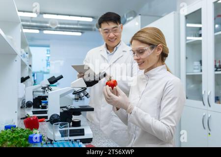 Joyful team of two people man and woman in white medical coats lab workers research food vegetables and fruits scientists grow products in lab. Stock Photo