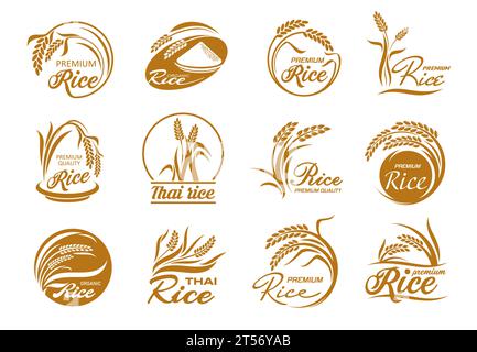 Rice icons with cereal plants and paddy grains. Vector gold leaves and seeds of farm field crop plant, bowl and grains pile silhouettes in round frames, thai and jasmine rice packaging labels set Stock Vector