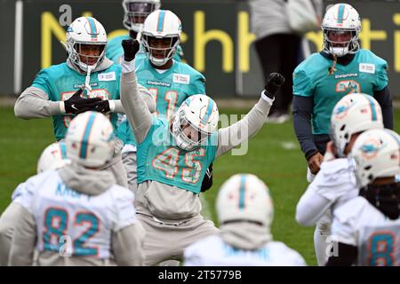 03 November 2023, Hesse, Frankfurt/Main: Duke Riley of the Miami Dolphins in action during practice. In the second NFL game in Germany, Super Bowl winners Kansas City and the Miami Dolphins will face off in Frankfurt on Sunday (05.11.2023). Photo: Federico Gambarini/dpa Stock Photo