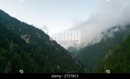 Mountain covered with forests. Aerial view forest. The mountain range is a natural protected area. A cloud has fallen over the forest Stock Photo