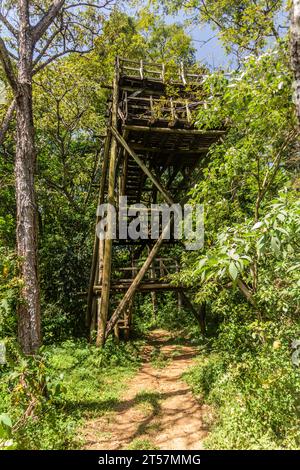 Kenya, A wooden watchtower or observation tower rises above the heavily ...