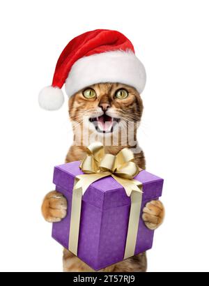 A joyful cat in a Santa hat smiles and holds a gift in his paws. Christmas cat isolated on white background. Stock Photo