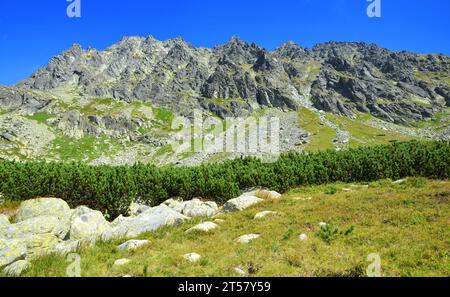Mlynicka Valley in Vysoke Tatry (Tatra Mountains), Slovakia. Stock Photo
