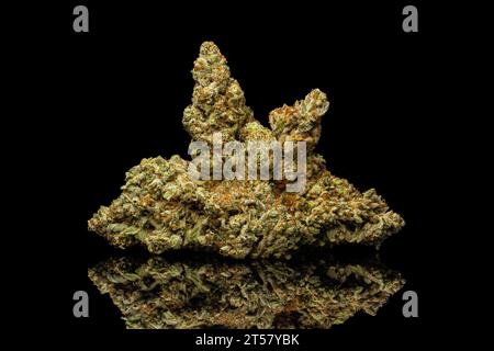 Jealousy Strain - Dry Cannabis Plant Nugs On Black Background Stock Photo