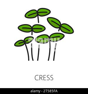 Green watercress salad microgreens color outline icon. Vector cress vegan healthy nutrition herb spice. Organic raw vegan healthy food Stock Vector