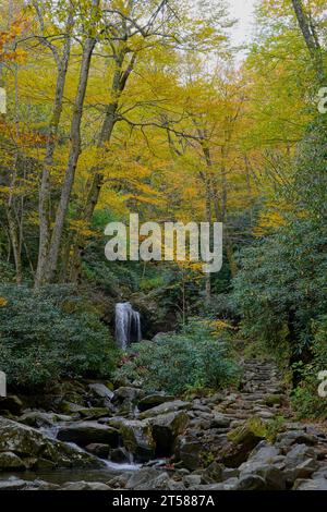 Grotto Falls in Great Smoky Mountains National Park in Tennessee surrounded by fall color Stock Photo