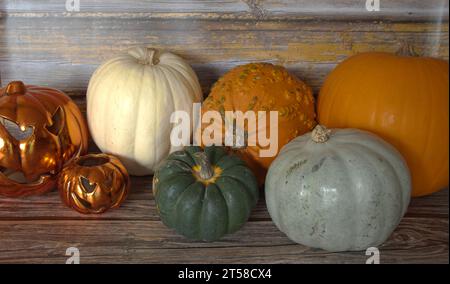 selection  of  different  pumpkins  ghost  pumpkin  oran d  gnarly Stock Photo