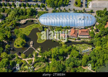 Aerial view, ZOOM Erlebniswelt Zoo, event hall, Bismarck, Gelsenkirchen, Ruhr area, North Rhine-Westphalia, Germany, DE, Europe, Aerial photo, Aerial Stock Photo