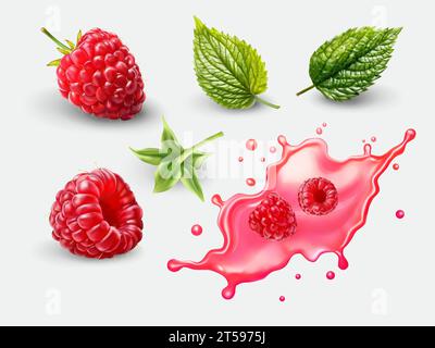 Realistic raspberry fruit with leaf and splash vector set on white background Stock Vector