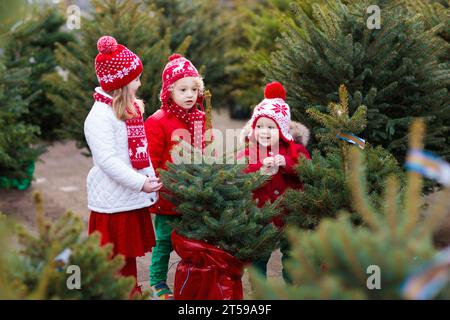 Family selecting Christmas tree. Kids choosing freshly cut Norway Xmas tree at outdoor lot. Children buying gifts at winter fair. Stock Photo