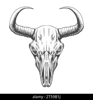 Monochrome Engraving Hand Drawn Scary Bull Skull.  Graphic Art Vector Illustration isolated on white. Stock Vector