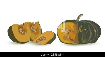 Pieces of ripe pumpkin. Set of sliced pumpkins vegetable with sweet pulp, green peel, seeds. Traditional autumn vegetables, harvest. Vegetarian food. Stock Vector