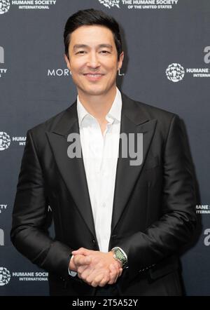 Daniel Henney attends annual The Humane Society's To The Rescue! Gala at Cipriani 42nd Street in New York on November 3, 2023 Stock Photo