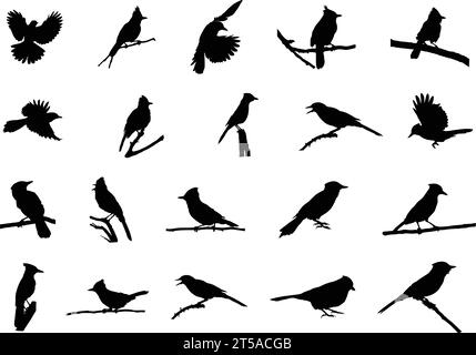 Blue jay silhouette, Blue jay birds silhouette, Birds silhouette, Blue jay Svg, Blue jay vector illustration Stock Vector