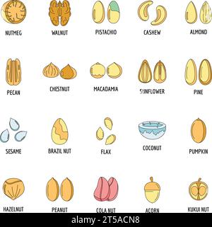 Nut types with signed names icons set. Outline illustration of 20 nut ...